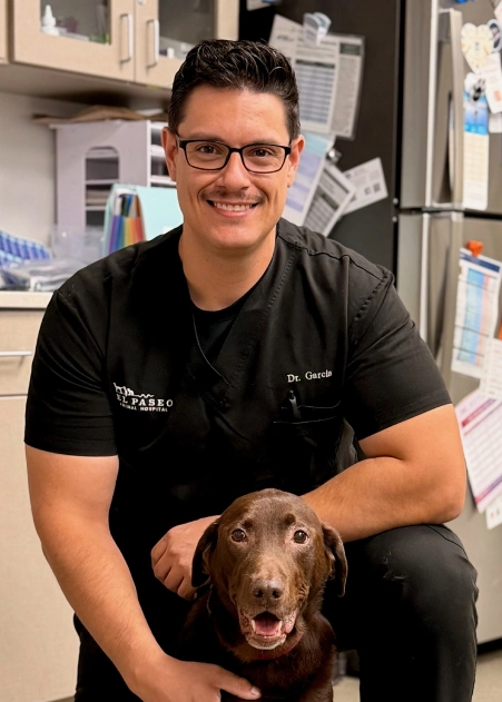 Dr. Nikolas Garcia